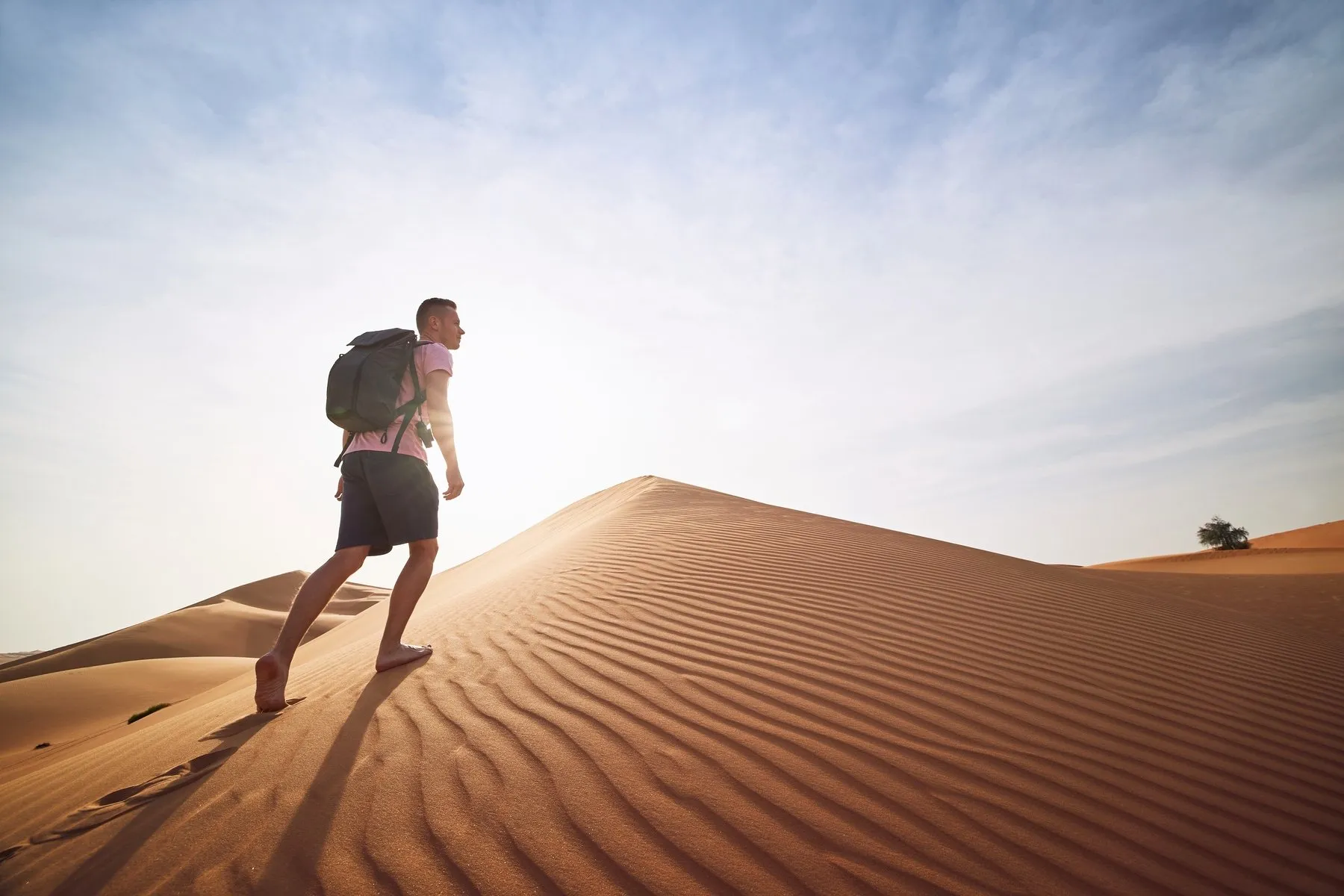 Desert