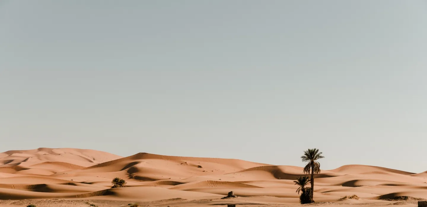 Desert Safari Background