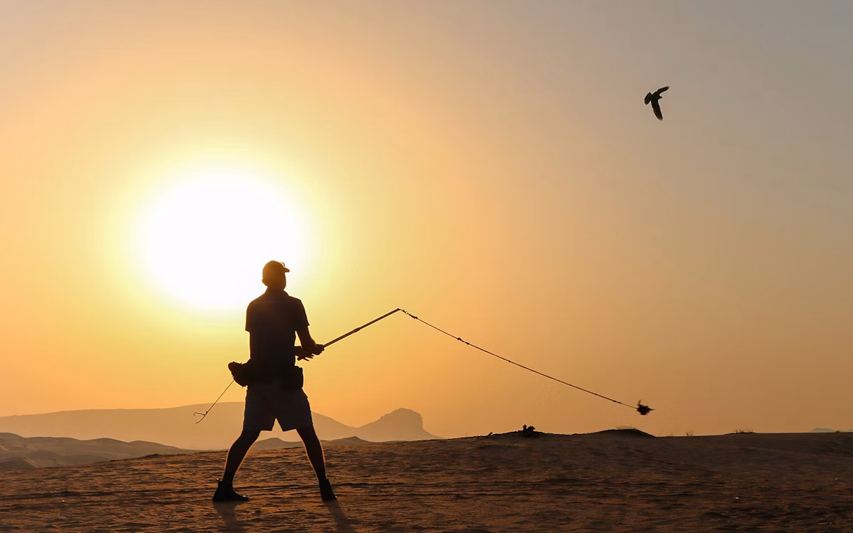 Evening Desert Safari